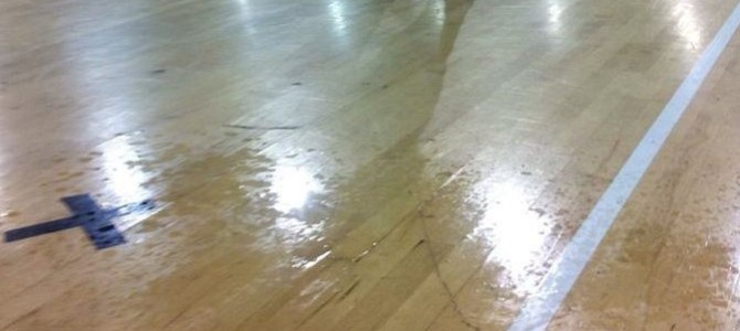 parquethunmedollanarubi